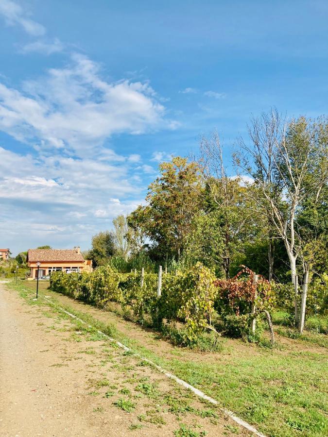 Villa Bubu, Appartamento Country-Chic Рим Екстериор снимка