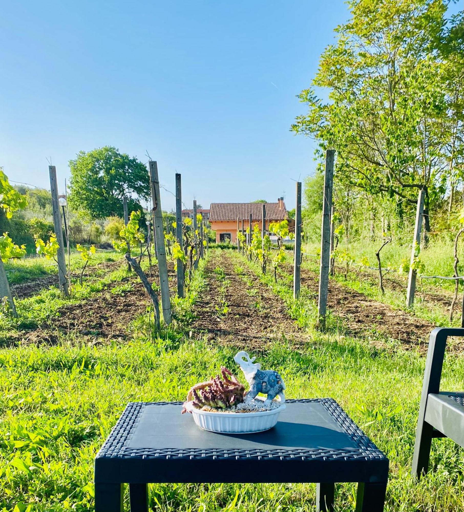Villa Bubu, Appartamento Country-Chic Рим Екстериор снимка