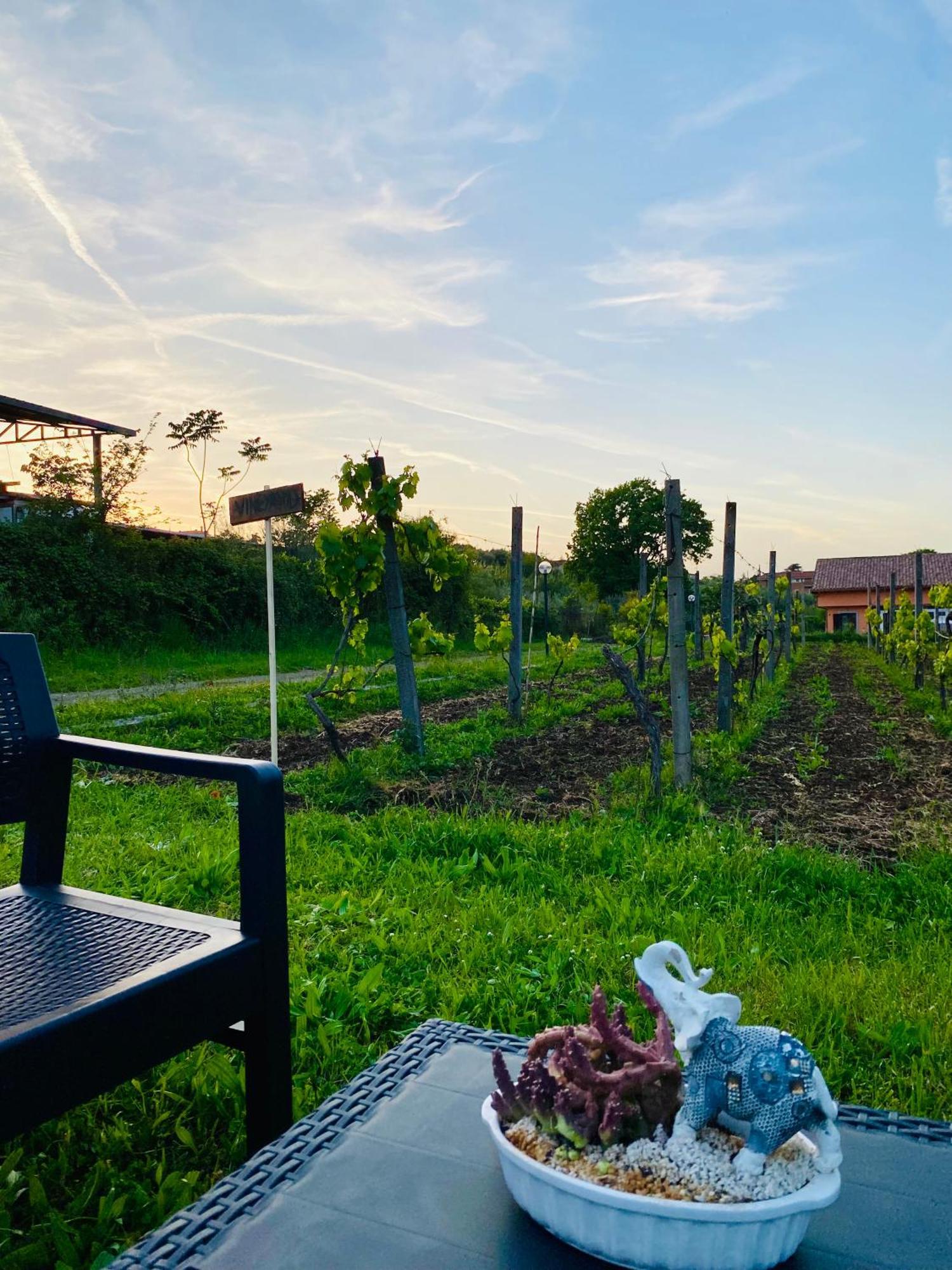 Villa Bubu, Appartamento Country-Chic Рим Екстериор снимка